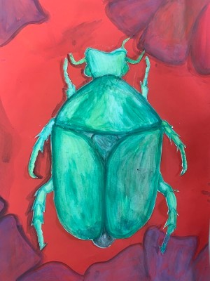 Richard malte einen Käfer. Grüne Käferarten, wie z.B der Rosenkäfer sind eine der häufigsten Käferarten in Europa (Thema: Was krabbelt und fliegt denn da?)