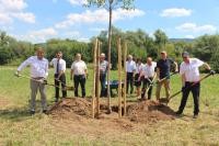 30 Kirschbäume zum 30. Jubiläum (mit Spaten von links): Oberbürgermeister Prof. Dr. Eckart Würzner, Dr. Stefan Zimmermann (Universität Heidelberg), Hans-Jürgen Howoldt (Heidelberger Freundeskreis Kumamoto), Steffen Wörner (Stadtjugendring) und Gerhard Schäfer (Sportkreis) mit Stadträtinnen und Stadträten sowie weiteren Beteiligten an der Städtepartnerschaft. (Foto: Stadt Heidelberg) Foto von Personen beim Baumpflanzen