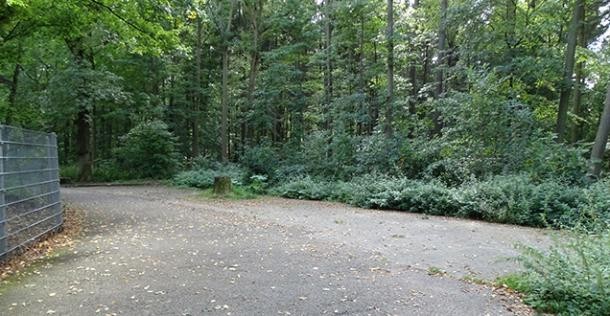 Blick auf einen Waldparkplatz