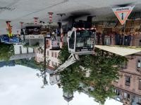 Baumpflegearbeiten des Landschafts- und Forstamtes der Stadt Heidelberg am Universitätsplatz. (Foto: Stadt Heidelberg) Maschine zur Baumpflegearbeit in der Heidelberger Altstadt