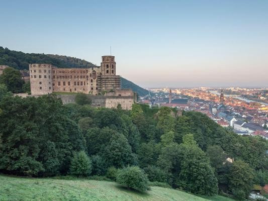 Blick aufs Heidelberger Schloss am Morgen 
