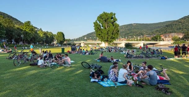 Treffpunkt Neckarwiese. (Foto: Diemer) Kleine Gruppen von Menschen sitzen auf der grünen Wiese unter blauem Himmel