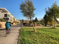 Promenade für Spaziergänge und Radtouren 