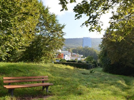 Parkbank am Waldrand (Foto: Großkinsky)