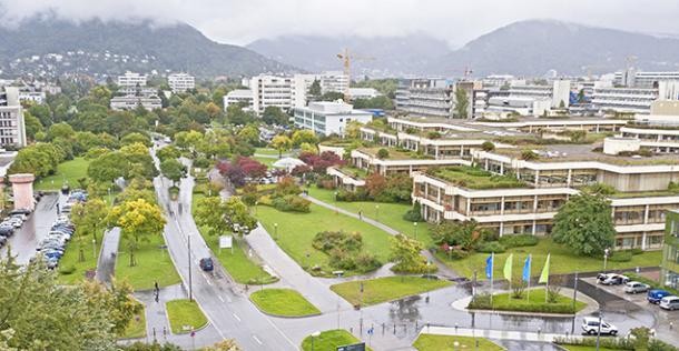 Blick aufs Neuenheimer Feld (Foto: Rothe)