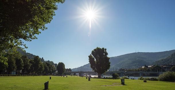 Die Neckarwiese bei strahlendem Sonnenschein.