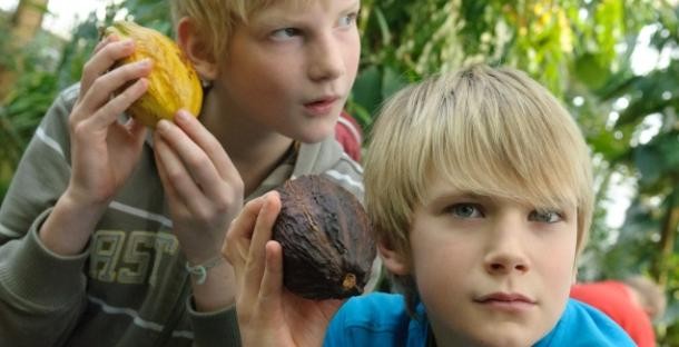 BNE im Botanischen Garten (Foto: Ralph Fülop)