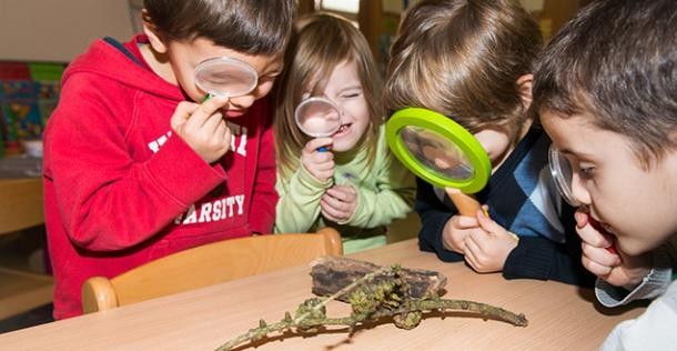 Wissenschaftler vor Bildschirmen (Quelle: DKFZ; Foto: P. Rudolph) Wissenschaftler vor Bildschirmen