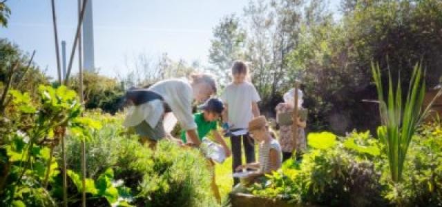 Kinder auf einer Wiese, die Sachen entdecken 