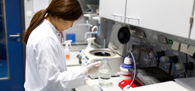 Wissenschaftliche Mitarbeiterin.