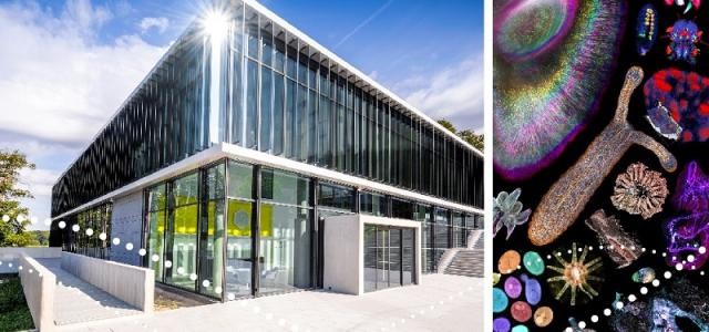 Das neuen Imaging Centre des EMBL von außen sowie eine Bild von Zellen unter dem Mikroskop.