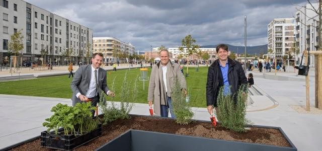 Umweltbürgermeister Raoul Schmidt-Lamontain, Oberbürgermeister Prof. Dr. Eckart Würzner und Erster Bürgermeister Jürgen Odszuck am Hochbeet .