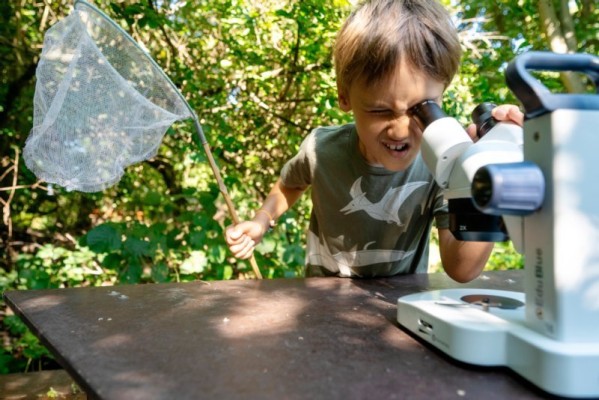 Spannende Ferienangebote gibt es in Heidelberg das ganze Jahr über. Das Online-Ferienportal bietet dazu jede Menge Infos und Buchungsmöglichkeiten. (Foto: Felix Bäcker) Kind schaut mit Schmetterlingsnetz in der Hand durch ein Teleskop