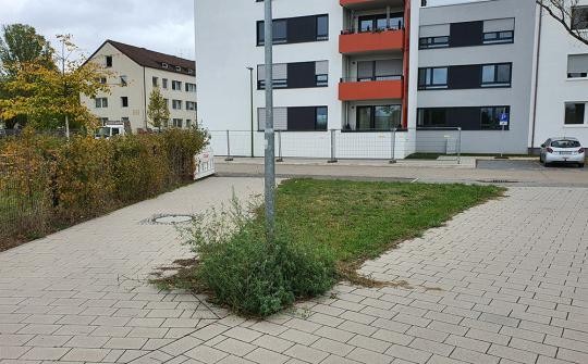Julius-Springer-Schule vorher. (Foto: Stadt Heidelberg) Julius-Springer-Schule, Blick auf Einfahrt.