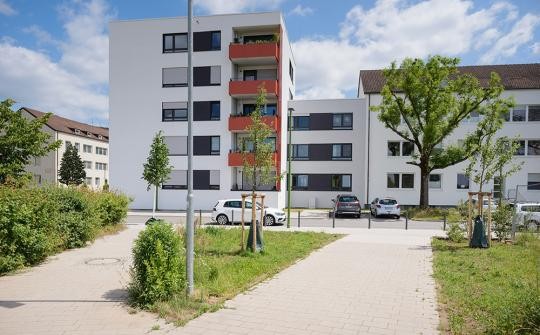 Julius-Springer-Schule nachher. (Foto: Stadt Heidelberg) Julius-Springer-Schule, Blick auf Einfahrt.