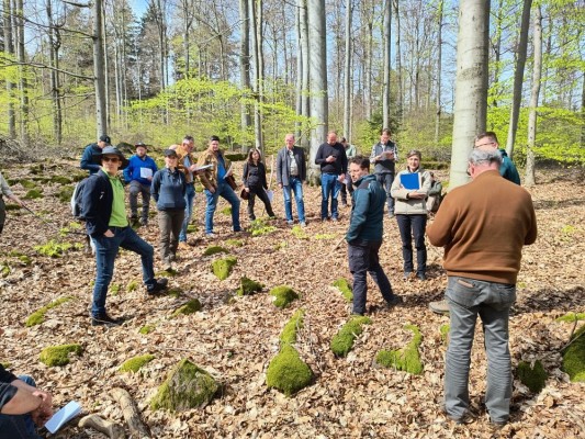 Aus ganz Deutschland waren Zertifiziererinnen und Zertifizierer in die Gastgeberstadt Heidelberg gereist, um sich nach einer theoretischen Schulung am Vormittag nachmittags im Stadtwald gemeinsam praktischen Fragen zu stellen. (Foto: Stadt Heidelberg) Menschen bei einem Treffen im Wald