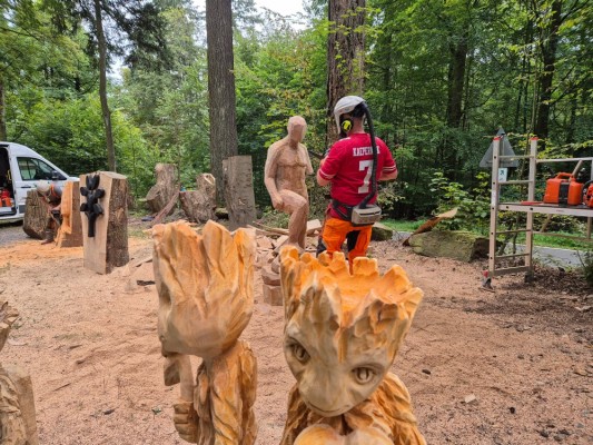 Motorsägenkünstler schnitzen während des Familienfests aus Holzstämmen filigrane Skulpturen für den Heilwald. (Foto: Stadt Heidelberg) Menschen in Schutzausrüstung bearbeiten im Wald Baumstämme künstlerisch mit der Motorsäge.
