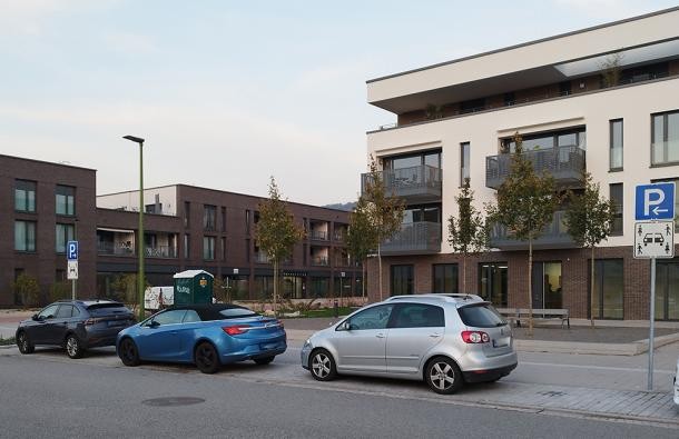 Stellflächen für Carsharing werden häufig von unberechtigt abgestellten Fahrzeugen blockiert. (Foto: Stadt Heidelberg) Drei Autos stehen vor einem Gebäude.