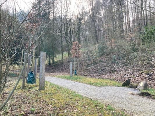 Auf Anregung der Bevölkerung wurde auch auf dem Friedhof in Heidelberg-Peterstal ein Baumfeld eingerichtet. (Foto: Stadt Heidelberg) Schotterweg im lichten Wald an einem Hang.