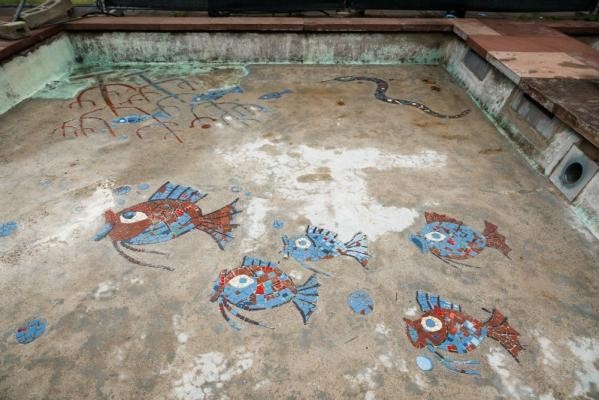 Die farbenfrohen Mosaike mit maritimen Motiven in den Becken der Brunnen in der Kurfürsten-Anlage stammen aus den 1950er-Jahren und werden im Zuge der Sanierung denkmalgerecht aufbereitet. (Foto: Stadt Heidelberg) In den Becken der Brunnen gibt es verschiedene Motive, zu sehen ist ein Fisch-Mosaik. Es besteht aus fünf rot-blauen Fischen in verschiedenen Größen. Rechts oberhalb der Fische ist eine Seeschlange, ebenfalls in rot-blau, zu sehen. Links daneben sind Unterwasserpflanzen zu sehen, zwischen denen sich weitere Fische verstecken.
