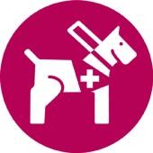Piktogramm Assistenzhund Willkommen ein Hund mit Assistenzhunde-Geschirr und -Leibchen