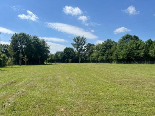 Rund 6.000 Quadratmeter Fläche stehen ab sofort Hundebesitzerinnen und -besitzern auf der neuen Hundewiese in Rohrbach-Süd durchgehend zur freien Verfügung. Die Wiese wird umrahmt von insgesamt 24 neugepflanzten Bäumen. Eine große Wiese