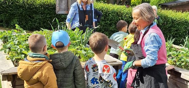 Drei Kinder und zwei Frauen stehen um ein Hochbeet im Grünen.