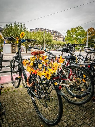 81_bild_Fahrradkalender_09_by_Schoch