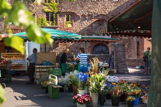 13_bild_Wochenmarkt_Handschuhsheim_by_Diemer06