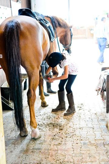 2008_03_Reiten_Ralf_Fuelop