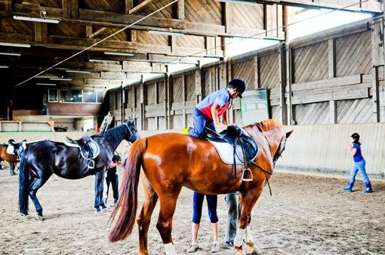 2008_15_Reiten_Ralf_Fuelop 