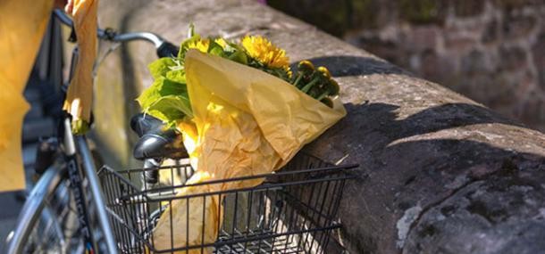 Kinderfreundliche Verkehrsplanung (Foto: Diemer) Blumen im Fahrradkorb