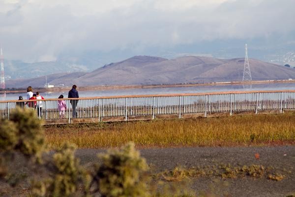 Lucy Evans Park (Foto: City of Palo Alto) Lucy Evans Park (Foto: City of Palo Alto)