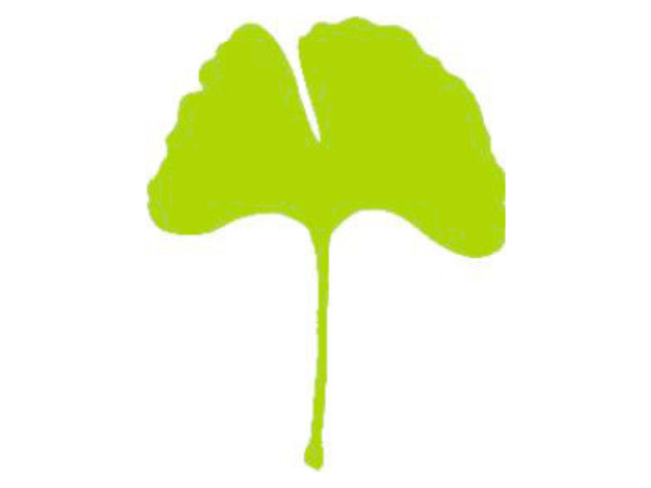 Übersetzerpreis Ginkgo-Biloba für Lyrik 2026 – Stadtbücherei Heidelberg, 22.10.2026