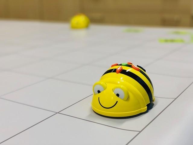 Bee Bots Workshop – Stadtbücherei Heidelberg, 26.08.2026