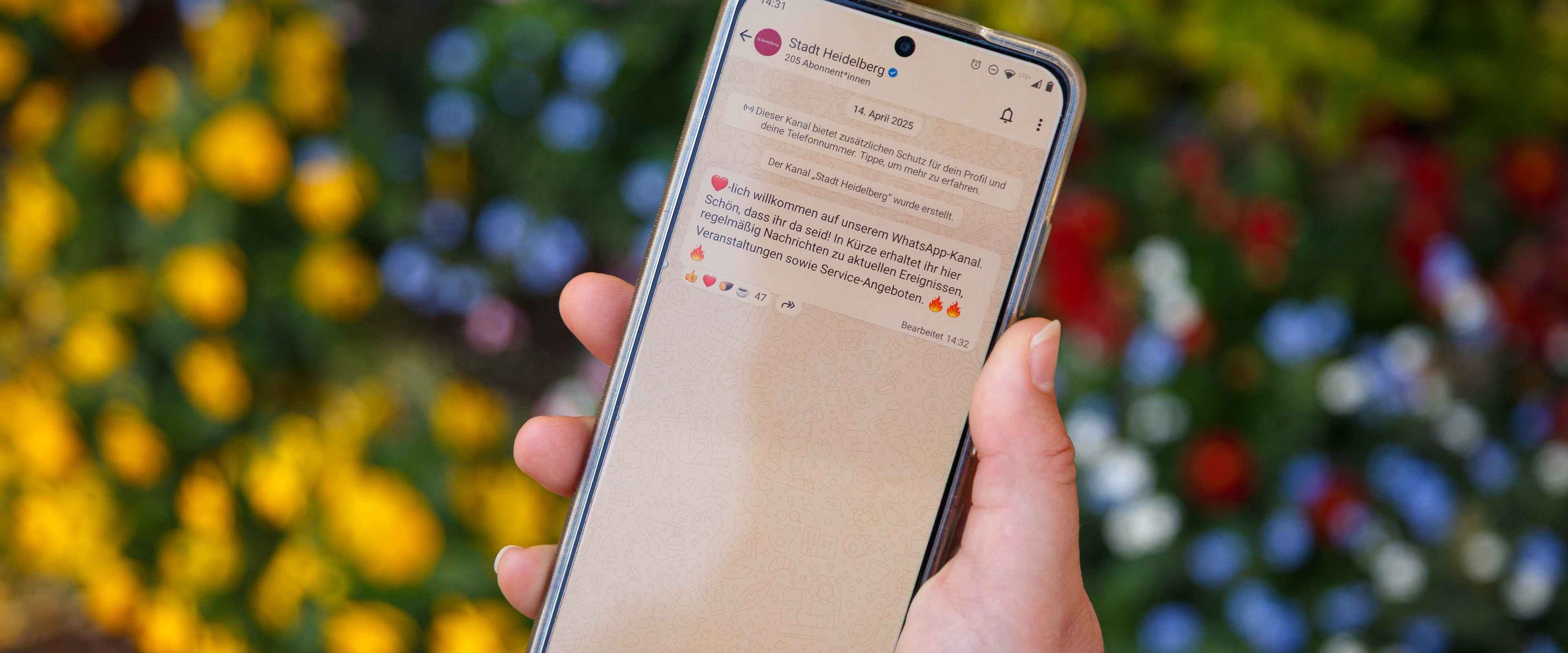 Smartphone zeigt den WhatsApp-Kanal der Stadt Heidelberg auf buntem Grund