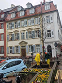 Neuer Baum wurde eingepflanzt