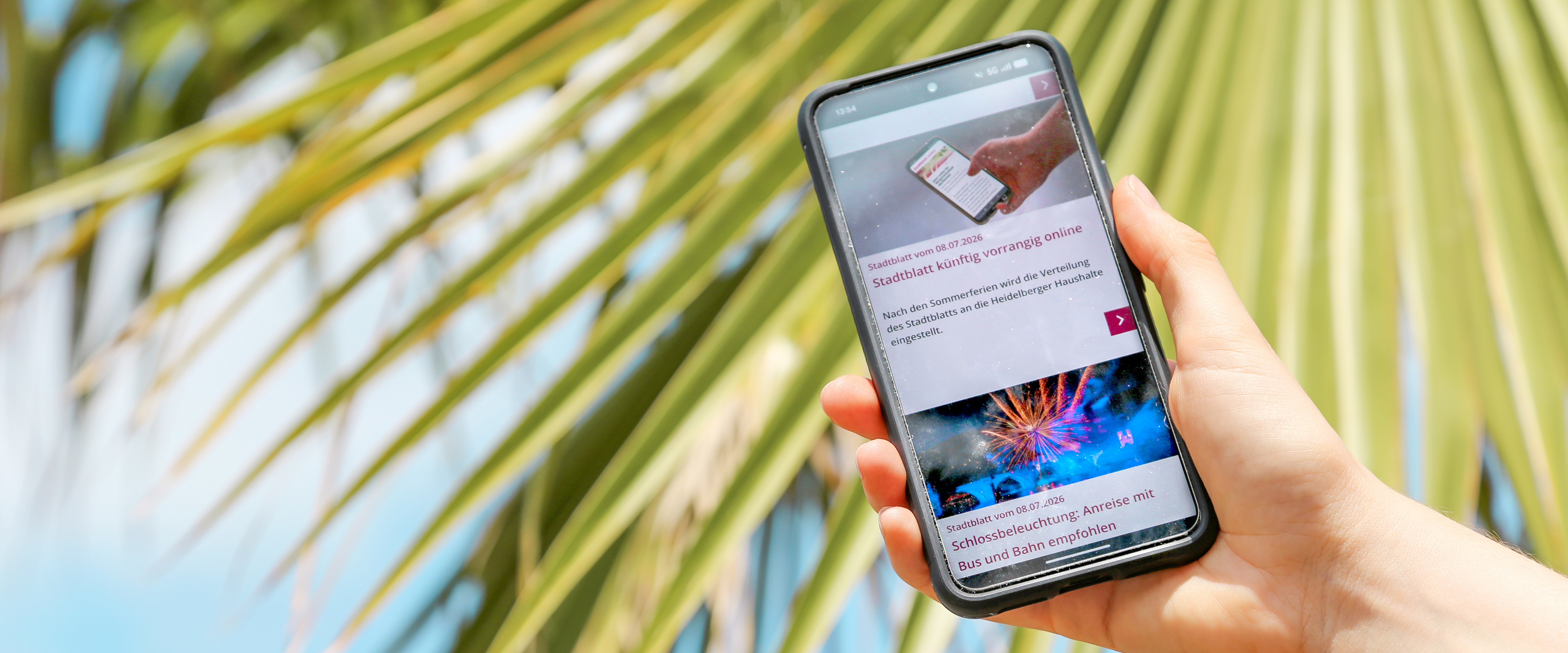 Stadtblatt online auf dem Handy geöffnet vor Palmen