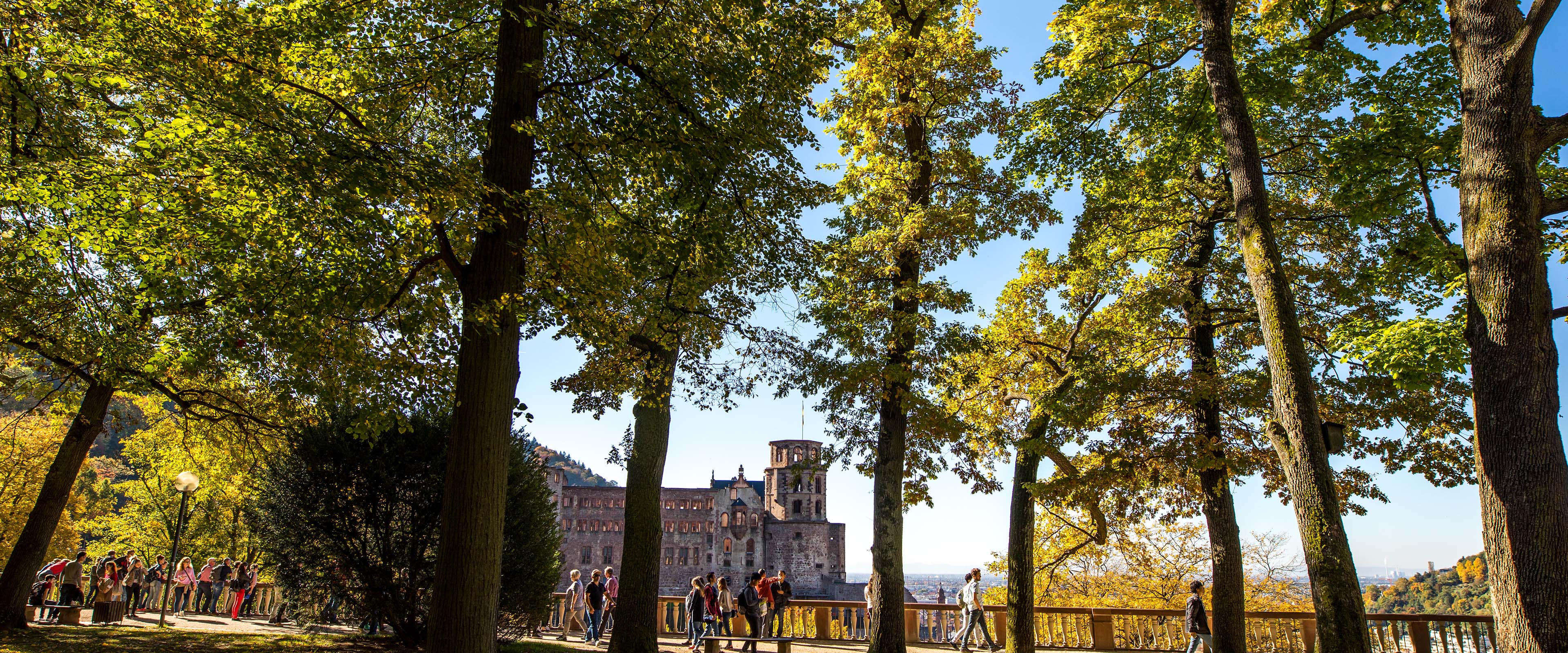 Blick auf grüne Bäume und das Heidelberger Schloss