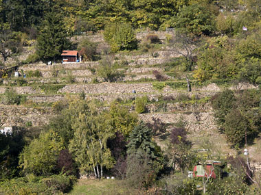 Trockenmauern (Foto: Stadt Heidelberg)