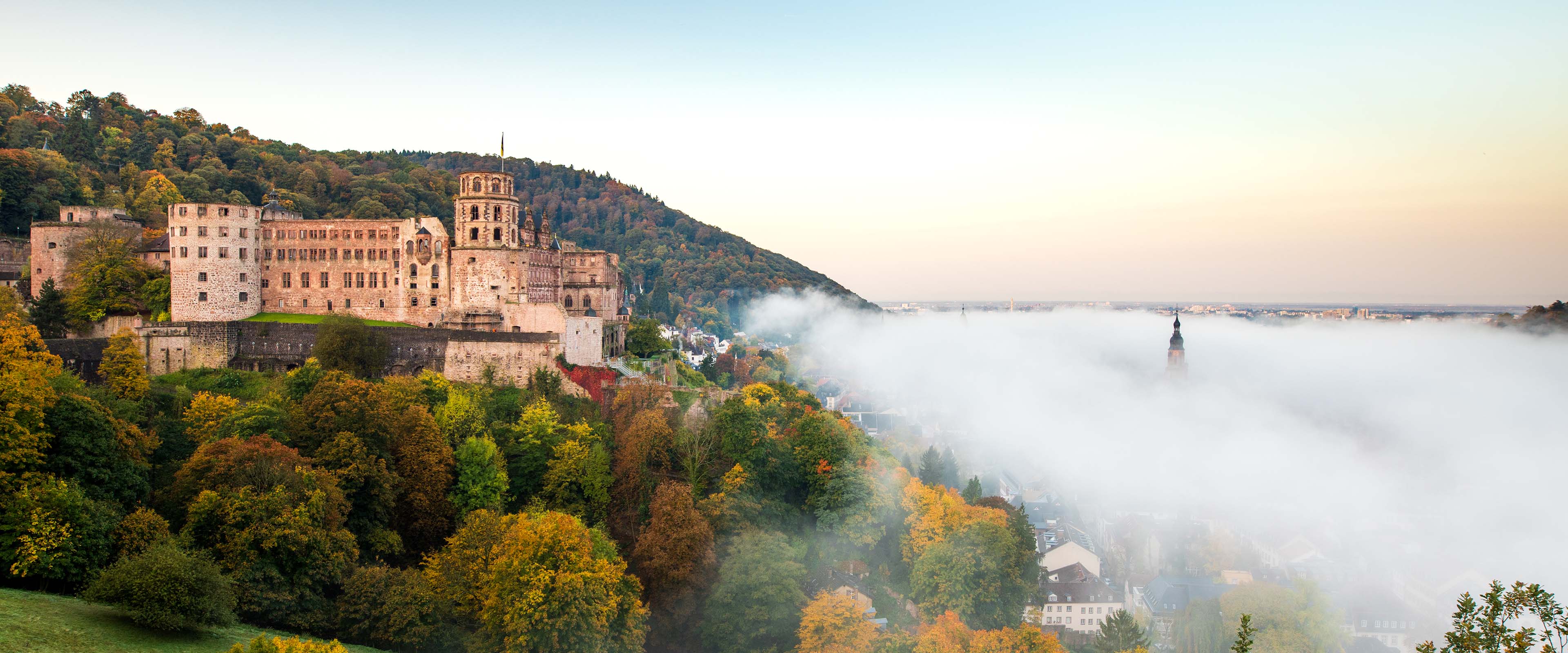 Blick auf das Heidelberger Schloss im  bunten Herbstwald mit einer Nebelschicht über der Altstadt 