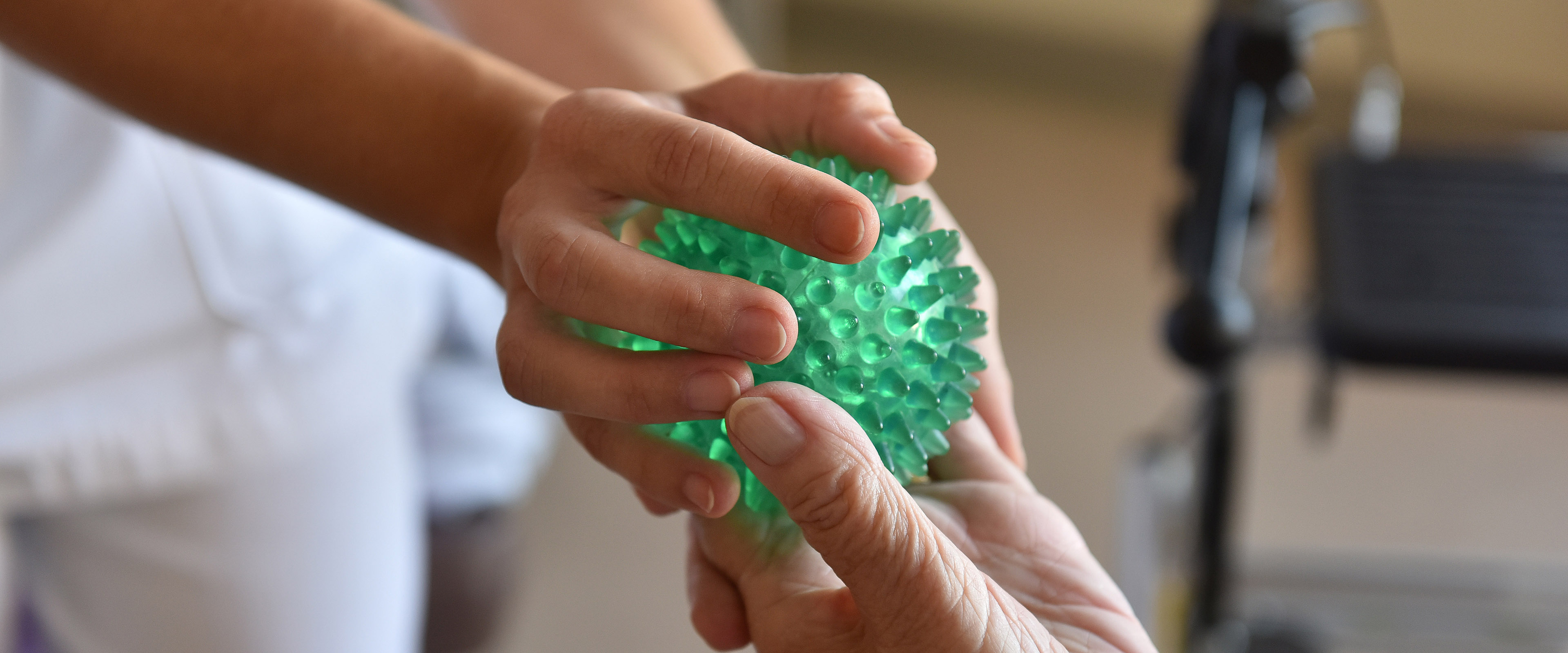 Hand hält grünen Igelball