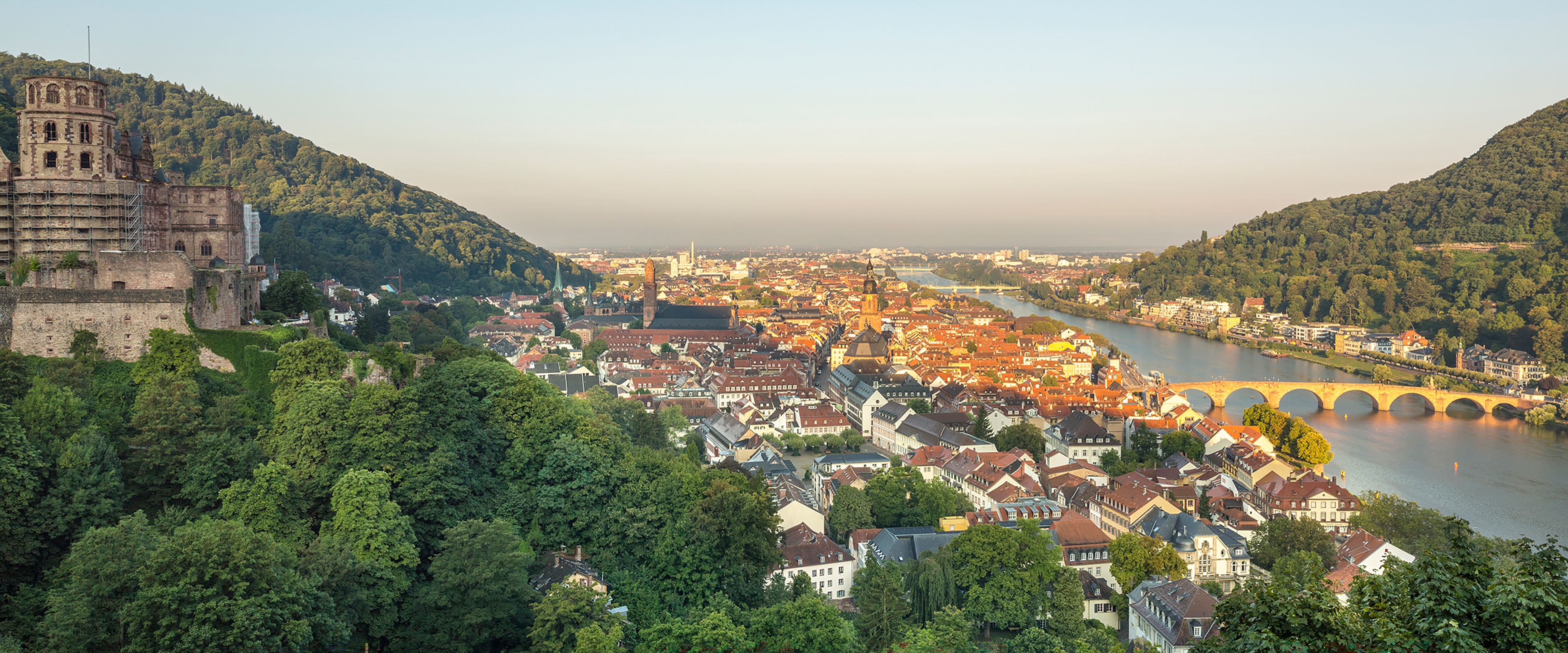 Blick auf grüne Wälder, das Schloss, die Altstadt und den Neckar in Heidelberg