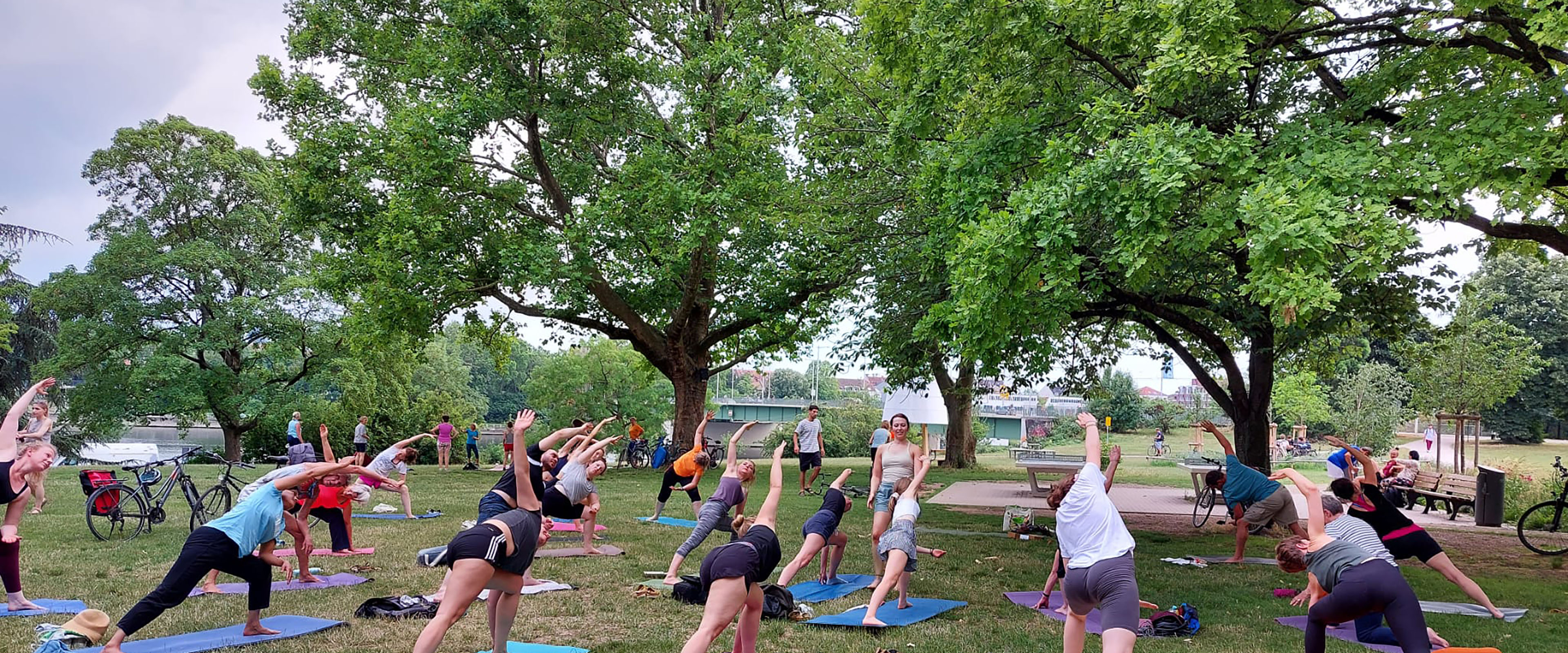 Menschengruppe im Park von hinten beim Gymnastikmachen 