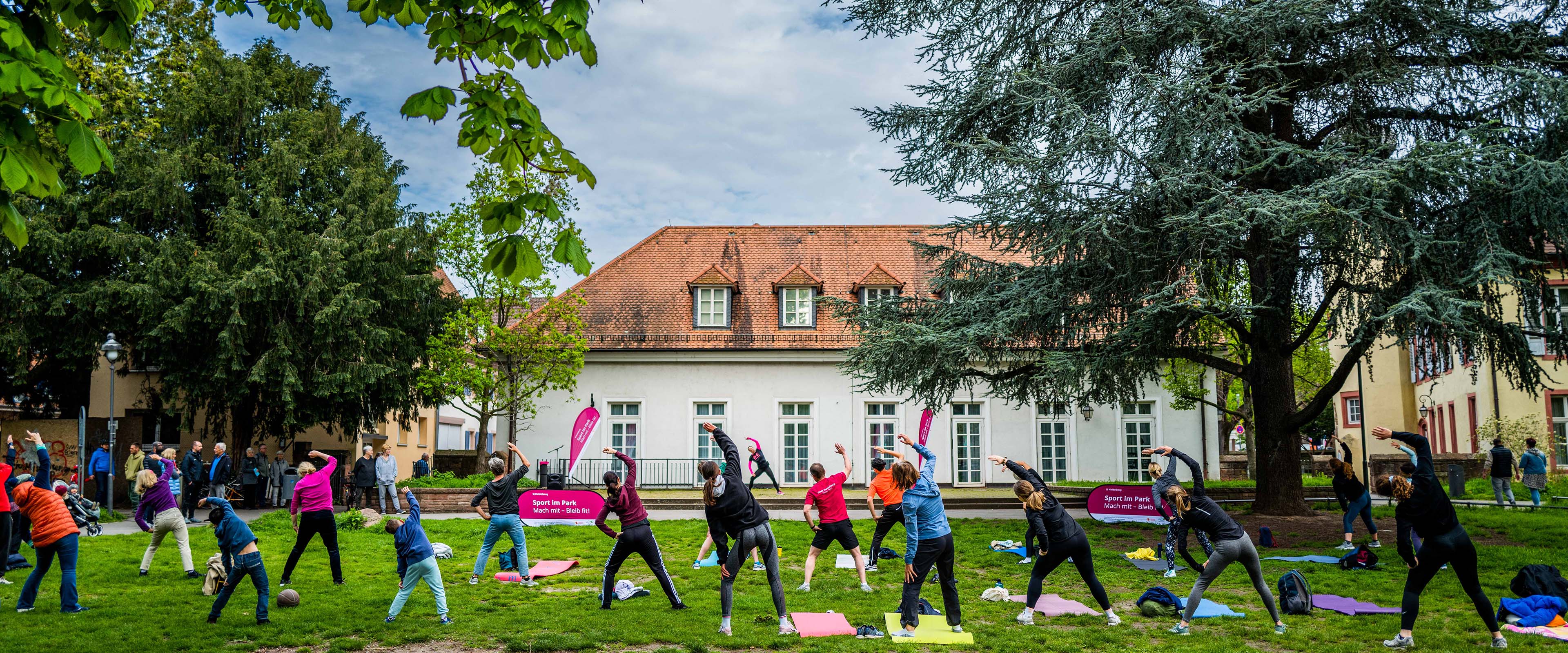 Gruppe von Menschen beim Yoga auf der Wiese unter Bäumen