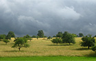 Nature Park Neckartal-Odenwald (Photo: City of Heidelberg) Nature Park Neckartal-Odenwald (Photo: City of Heidelberg)