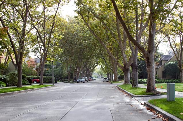 Residential area in Palo Alto (Picture: City of Palo Alto)