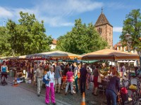 Wochenmarkt in Neuenheim (Foto: Diemer)