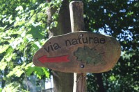 Bild Wegeschild mit der Aufschrift via naturae