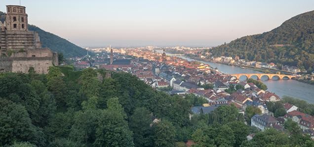 Bild auf Heidelberg am Morgen